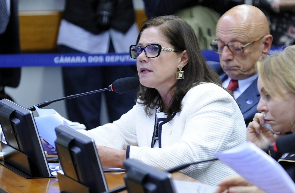 Soraya Santos: é preciso garantir direitos individuais, e as questões relativas às mulheres devem ser tratadas separadamente para que possam avançar