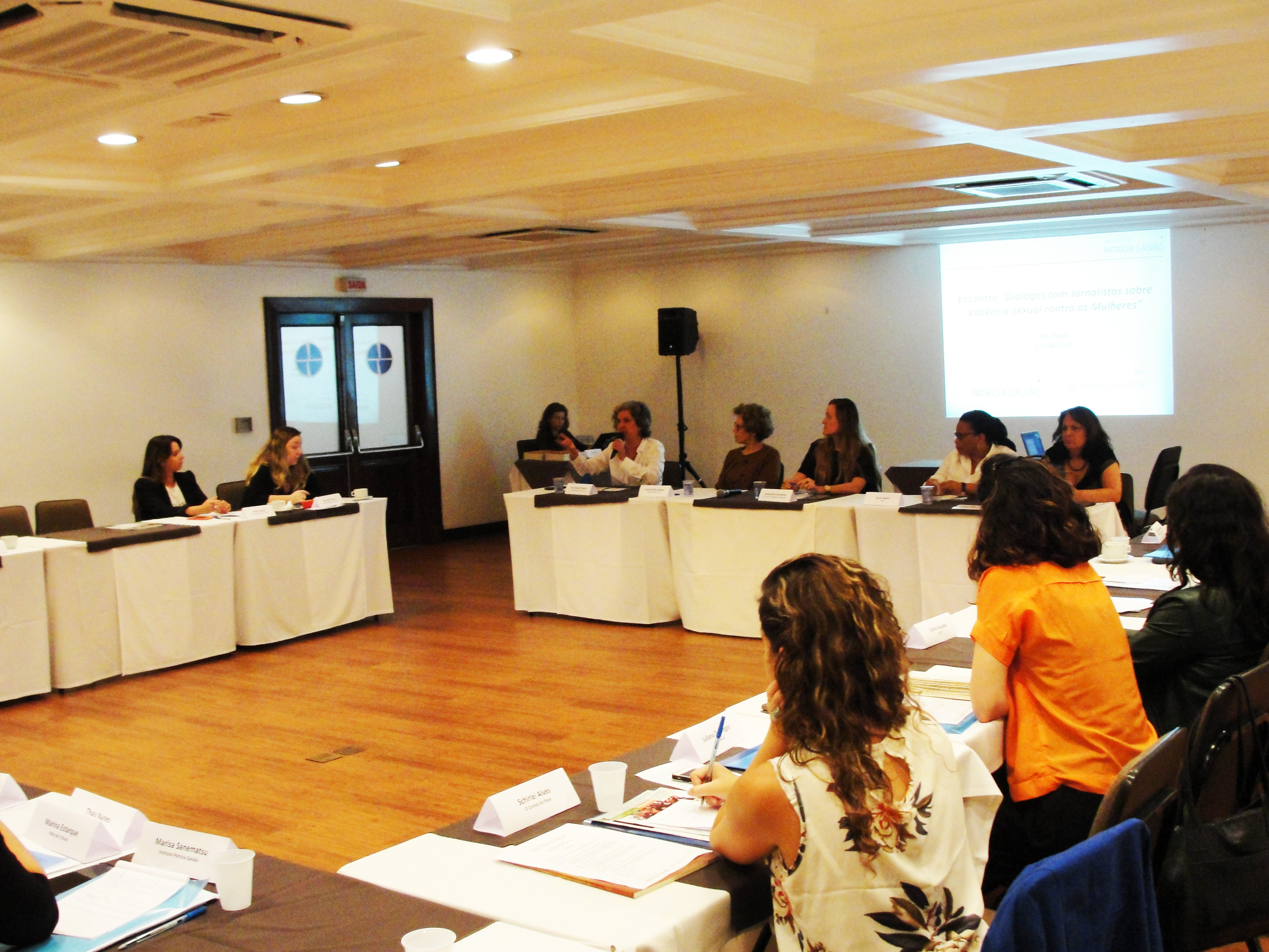 Saúde Segurança Raça FMUSP IML SSPSP CRIOLA_foto Tainah Fernandes